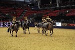 Quadrille - 00841
